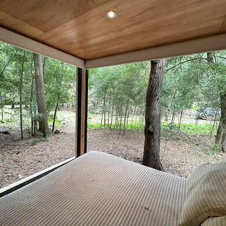 Tiny House En Pleno Bosque A Metros De La Laguna Chascomus Exterior photo