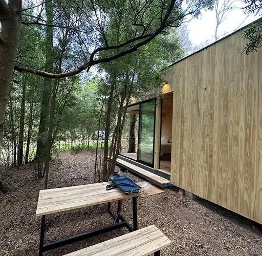 Tiny House En Pleno Bosque A Metros De La Laguna