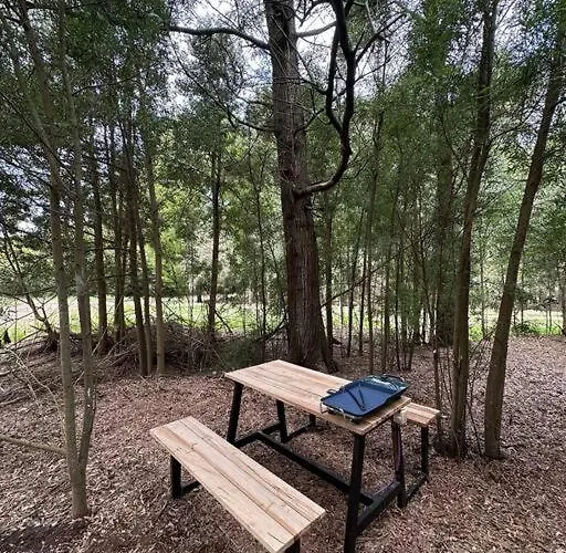 Tiny House En Pleno Bosque A Metros De La Laguna