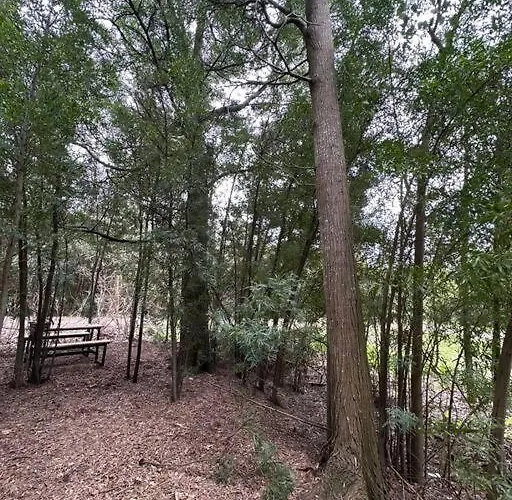 Tiny House En Pleno Bosque A Metros De La Laguna