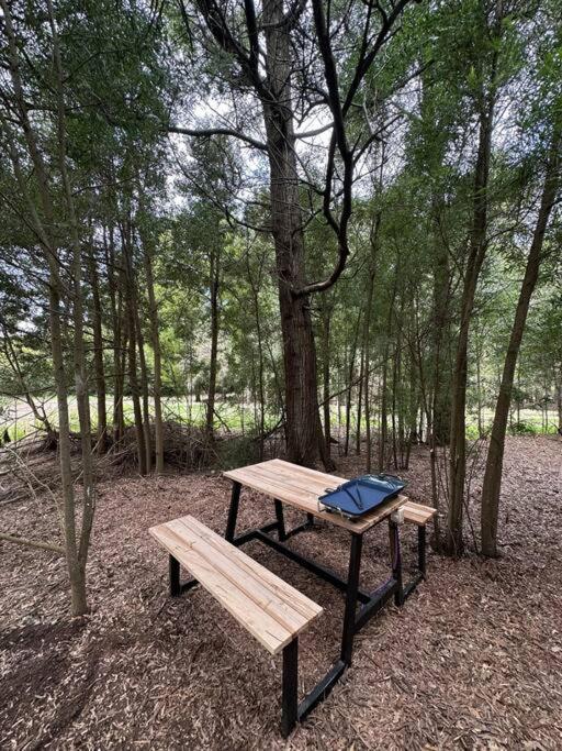 Tiny House En Pleno Bosque A Metros De La Laguna Holiday home *