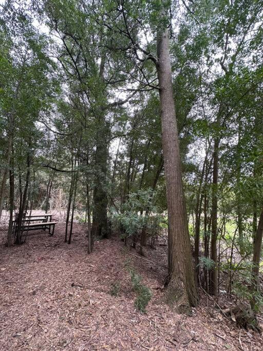 Tiny House En Pleno Bosque A Metros De La Laguna Holiday home *